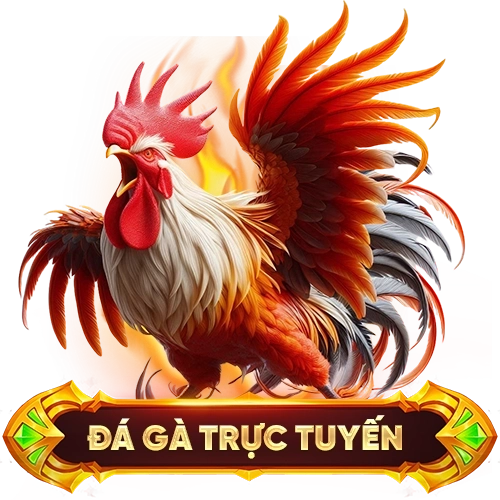 đá gà trực tuyến MANCLUB